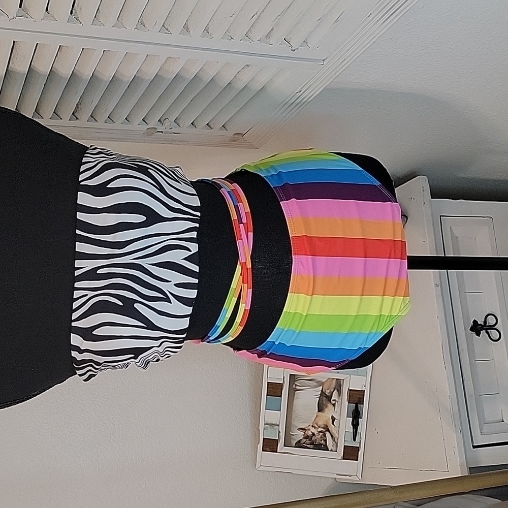 π5/$20 ποΈ Multi-Color Zebra Bikini - Picture 2 of 7